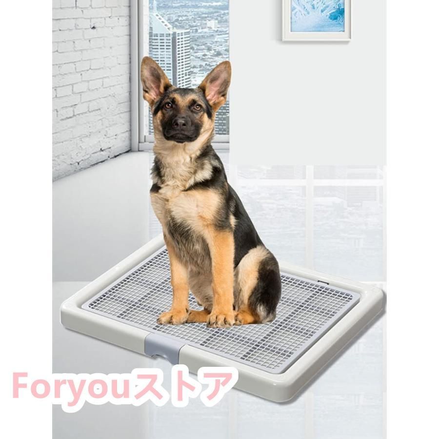 防水 漏れ防止