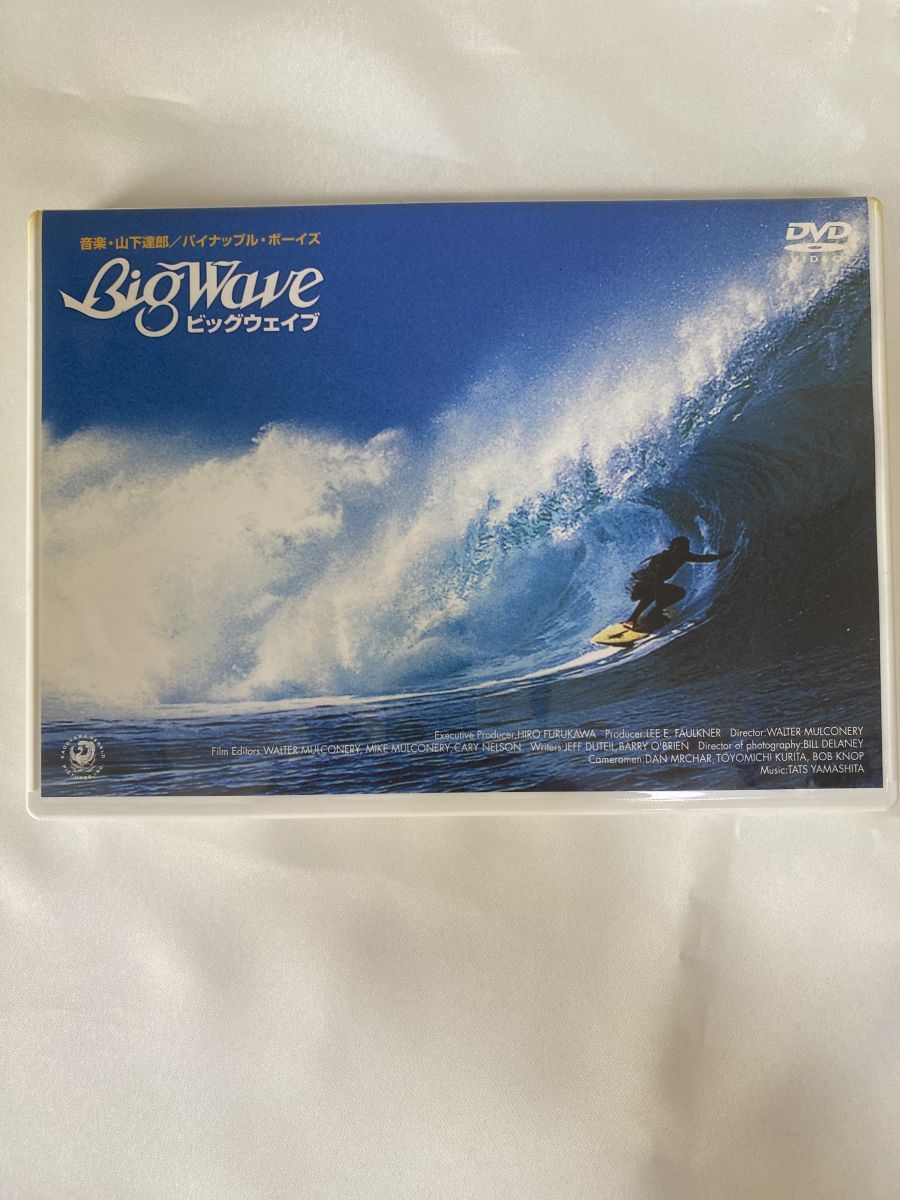 Big　Wave（通常）（DVD）マーク・リチャーズ 音楽 山下達郎/パイナップル・ボーイズ  : BIG WAVE [DVD] : マーク・リチャーズ, マイケル・ホー