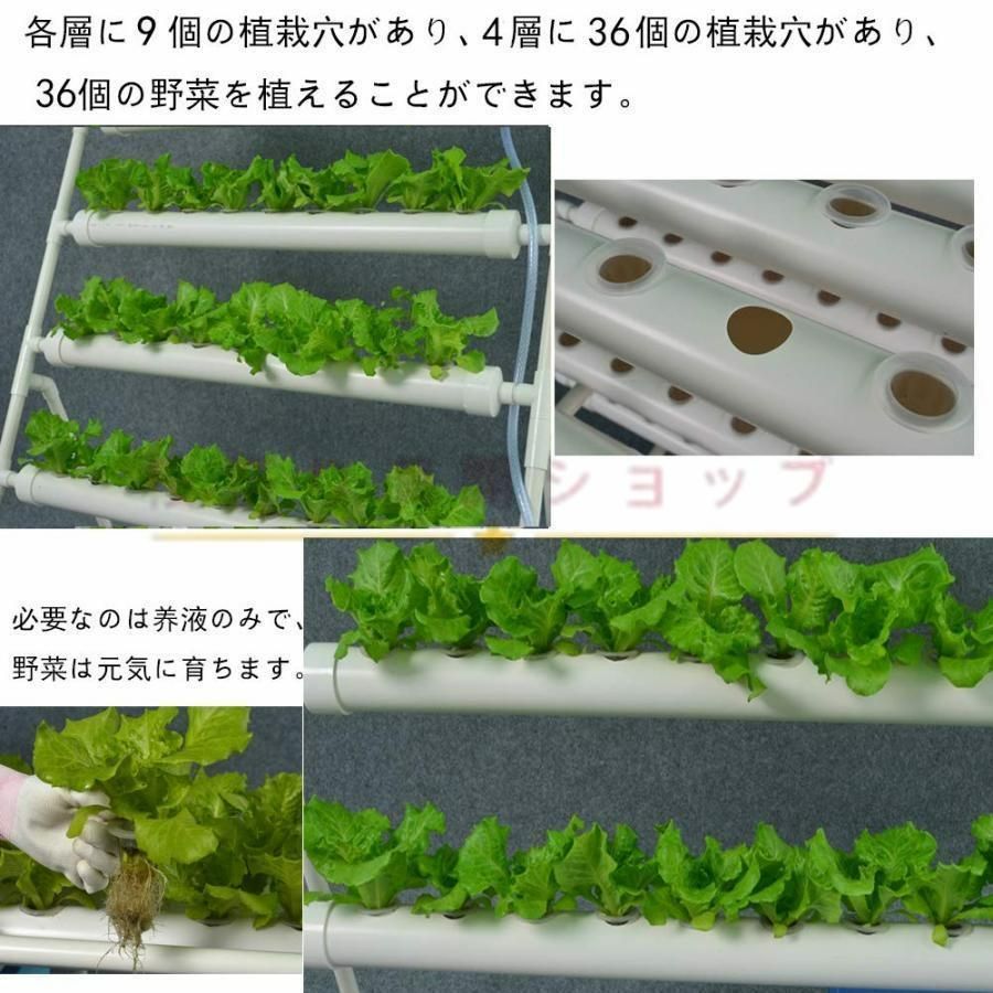 水耕栽培キット すいこう栽培キット 野菜 栽培キット 室内