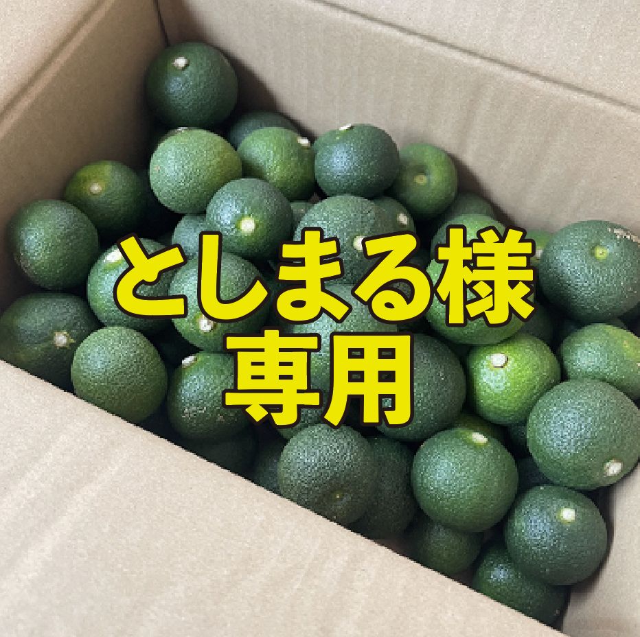 宮崎県産 へべす 3キロ S〜Lサイズ 宮崎県産】へべす冷凍果汁 ／ 1kg【業務用】 | ムラタ拉麺