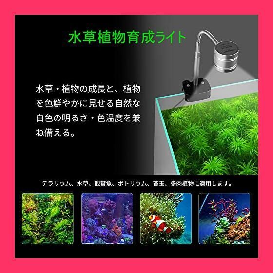 ❌結ばない靴ひも(❁ᴗ͈ˬᴗ͈)新品 アーミー柄