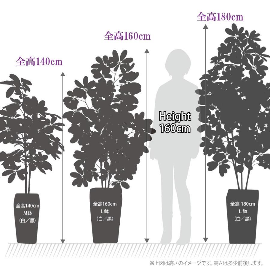 フェイクグリーン 人工観葉植物 約140cm 黒鉢 【公式通販】