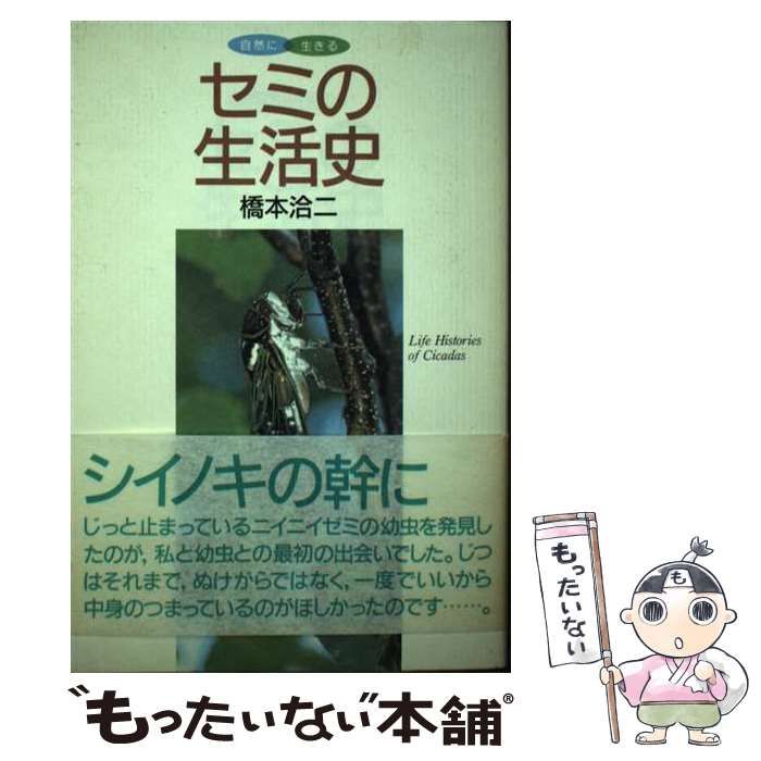 中古】 セミの生活史 （自然に生きる） / 橋本 洽二 / 誠文堂新光社 