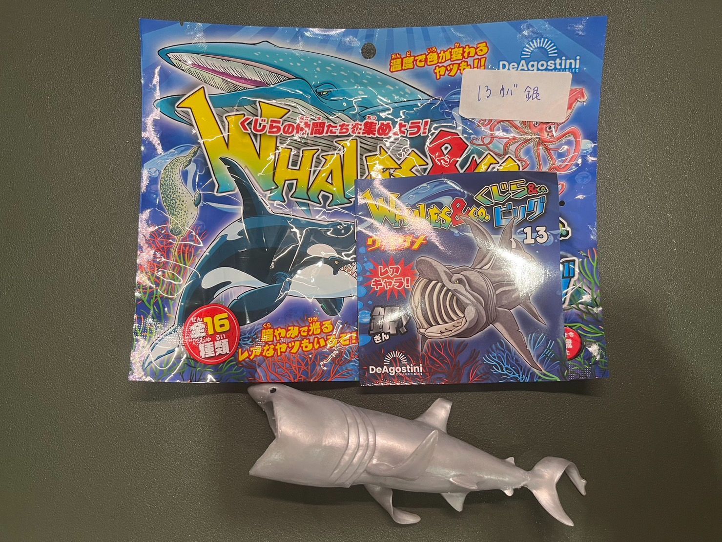 １３ 銀　ウバザメ　新品　くじら&co. WHALES&co.　デアゴスティーニ