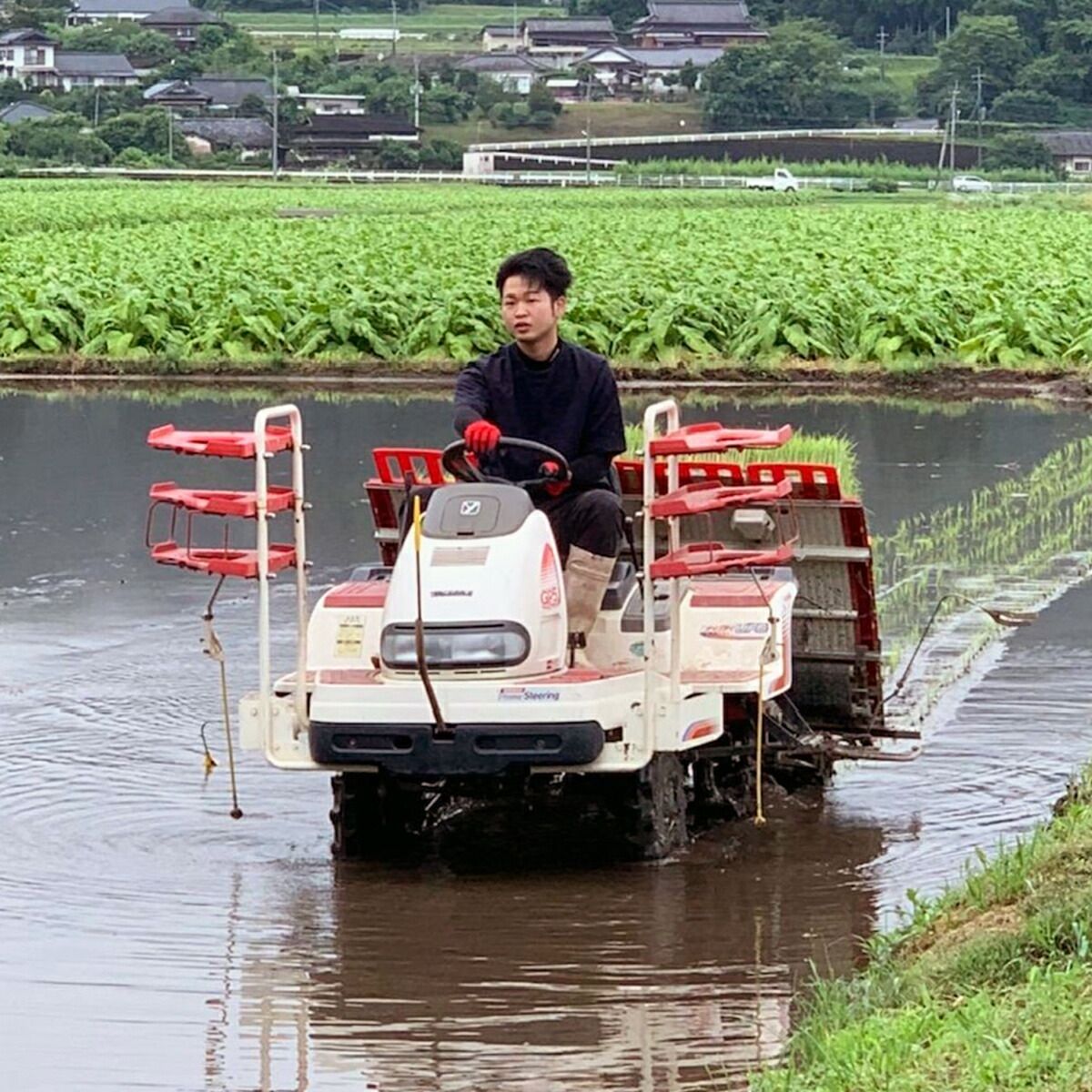 御歳暮 お中元