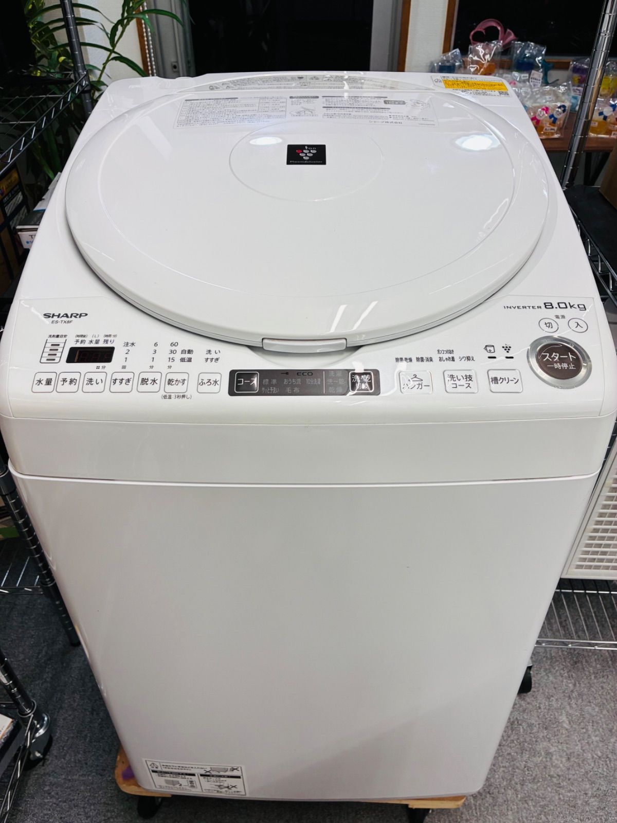 2022年製】シャープ SHARP ES-TX8F-W 全自動洗濯機 【公式通販】