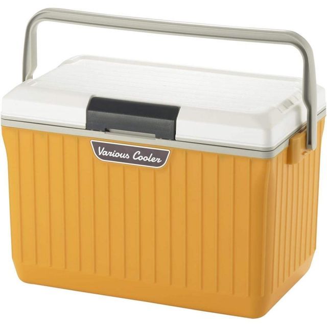 Burny Fernandes TB-70？ サンダーバードタイプ 希少国産FERNANDES