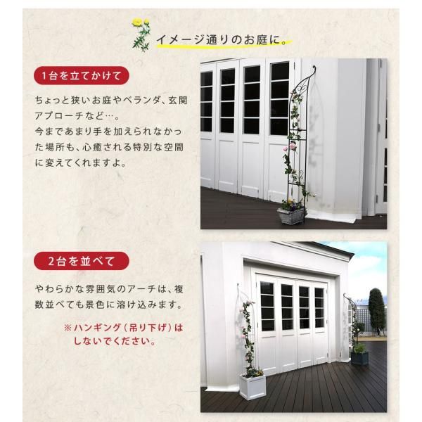 ホワイト