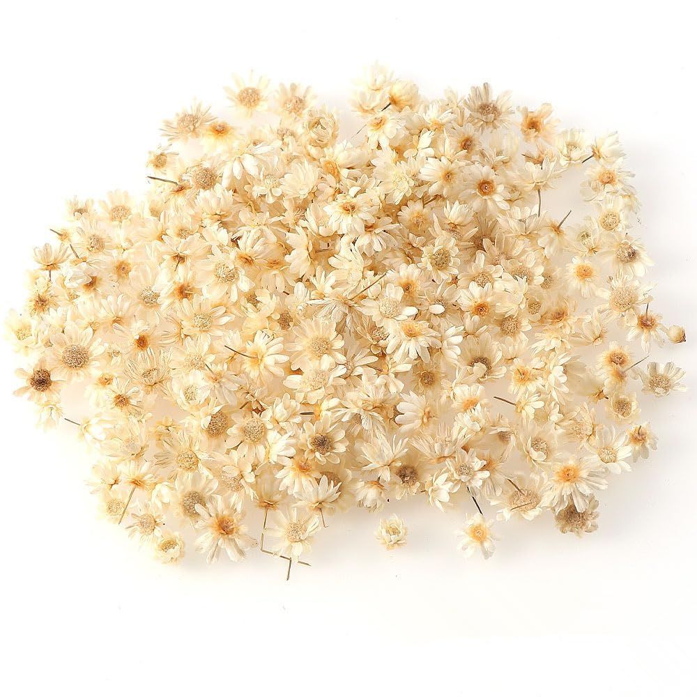 イチオシ❣️ドライフラワー 花材 レジン 手芸 小花 押し花 ネイルペンダント 在庫処分】素材 おしゃれ クラフト 手芸 DIY ペンダント ネイル