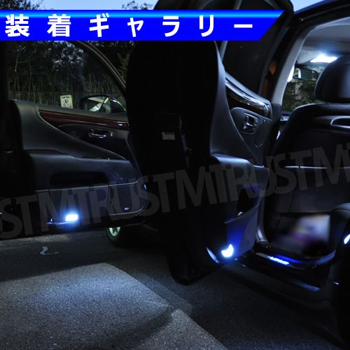 ホワイト 白