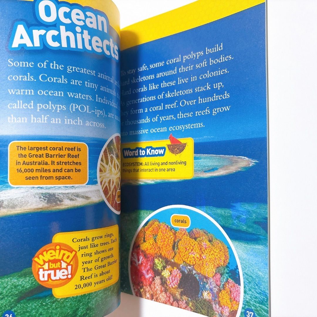 National Geographic Kids Level3 38冊 英語絵本 音源付き ナショジオ