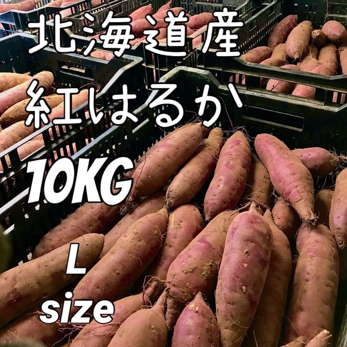 北海道産 栗山町ファームうかわ さつまいも 紅はるか 10kg 焼き芋