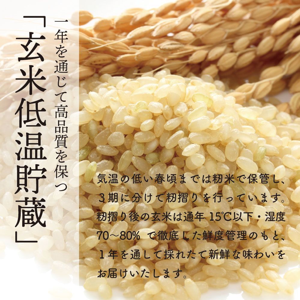 農家直送 令和三年 玄米アキサカリ 30kg