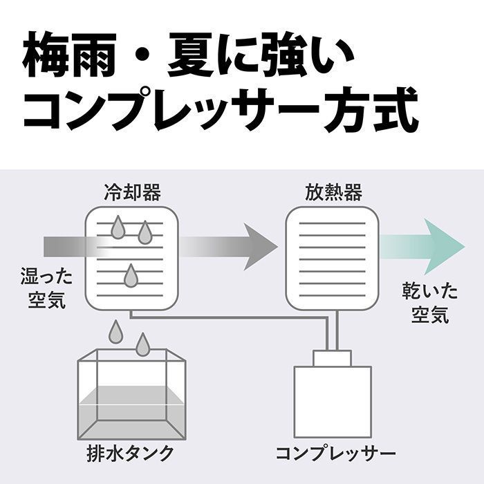 ホワイト系