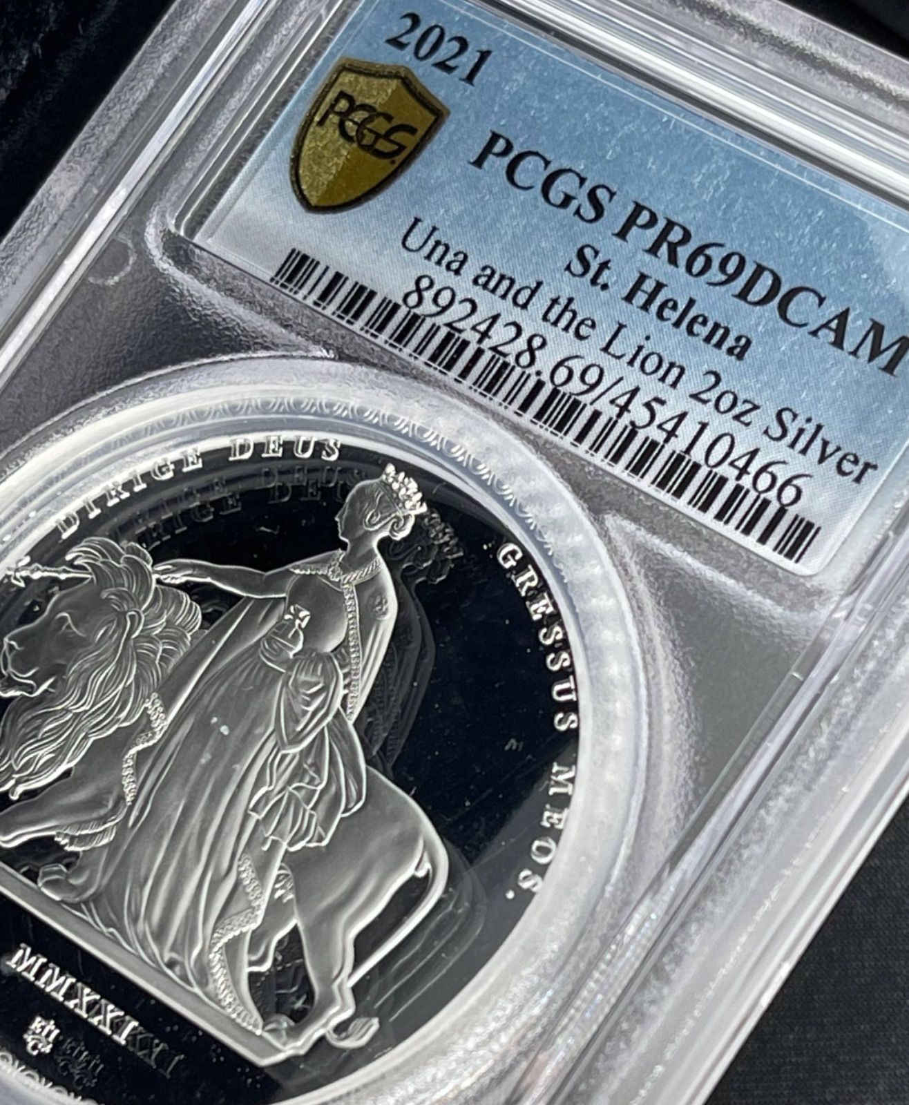 最高鑑定】2021 ウナ ライオン 銀貨 マスターピース版 pcgs - メルカリ
