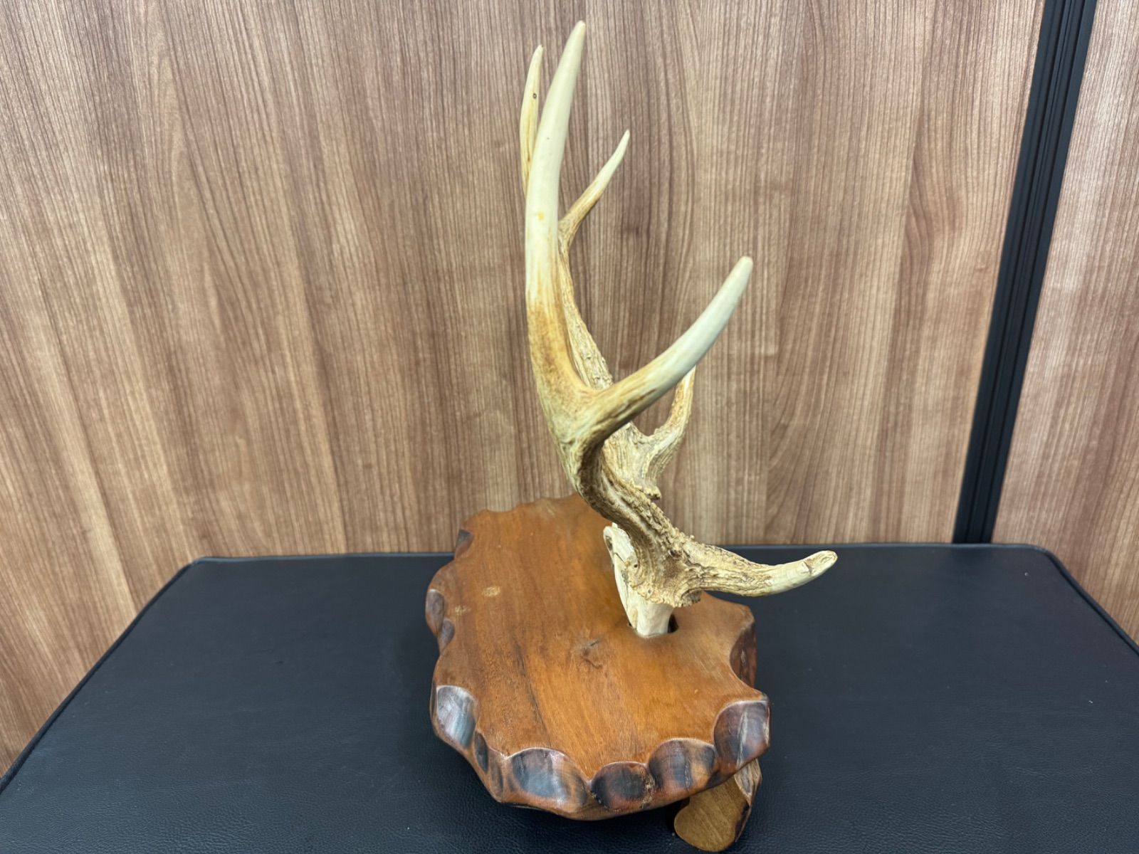 鹿の角 刀掛け 刀置き インテリア 鹿の角インテリア模造刀置き
