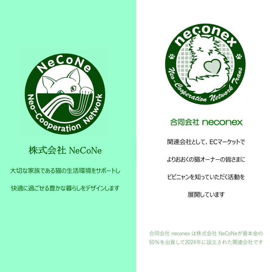 ワイド版