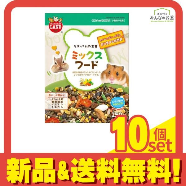 フェイ・ウォン J-PHONE DIJESTなどパンフレット 全22冊