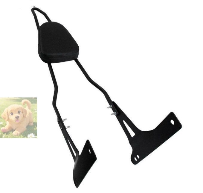 取り外し リアドライバ 背もたれ 荷物ラック カスタム 高品質 シーシーバー ブラック 背もたれ ハーレー ダイナ ストリ BRIGHTFACE_UK