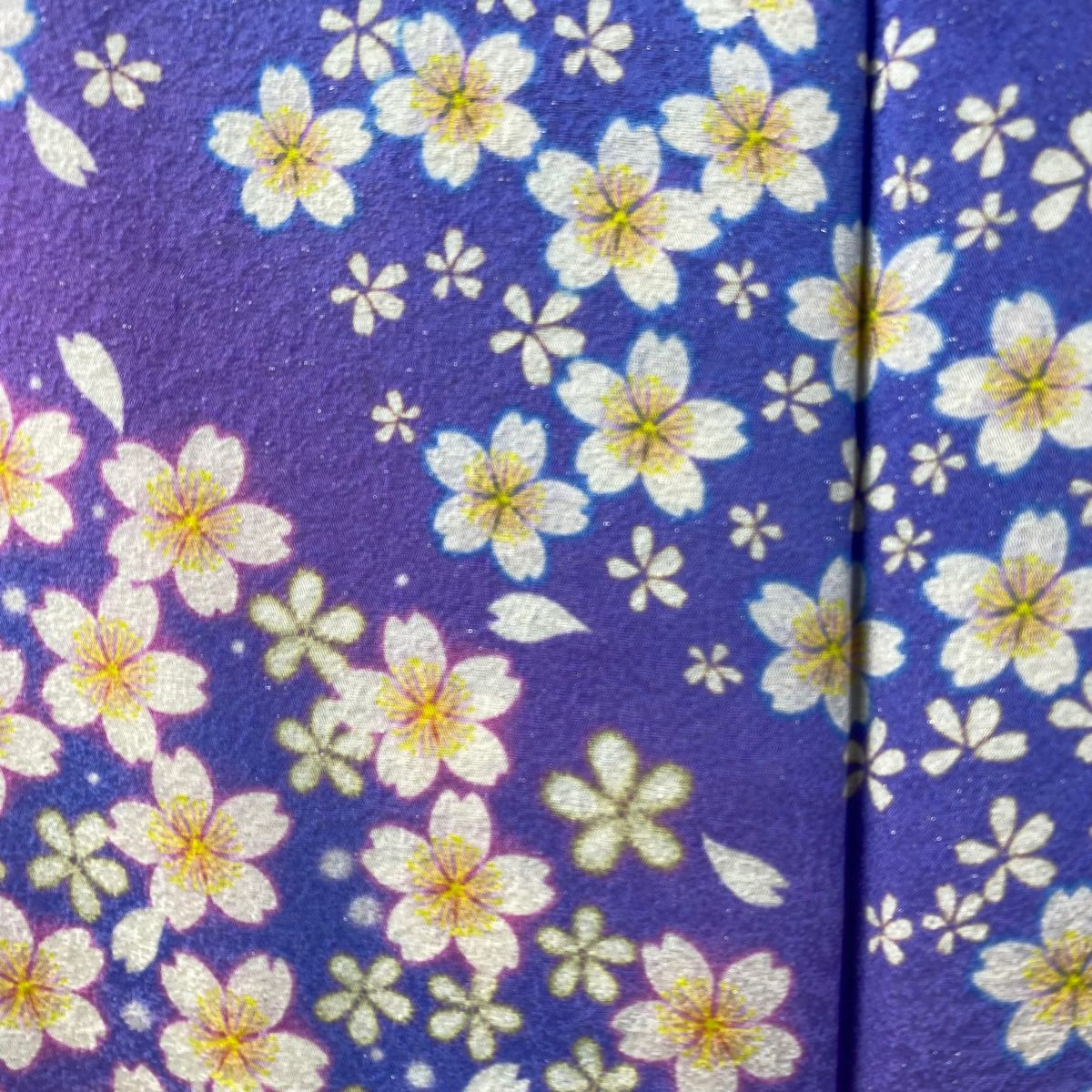 振袖 身丈166cm 裄丈69cm L 袷 桜 花びら 銀通し ぼかし 青 正絹 逸品  