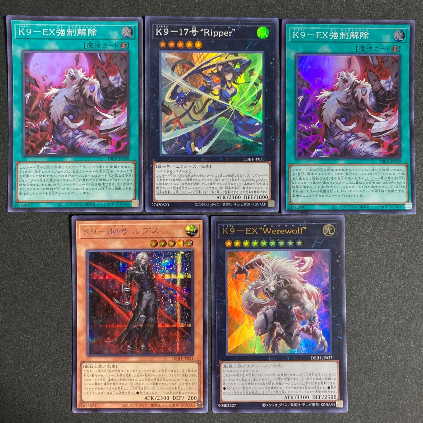 K９－１７号 Ripper　プリズマ2枚セット K9-17号 “Ripper