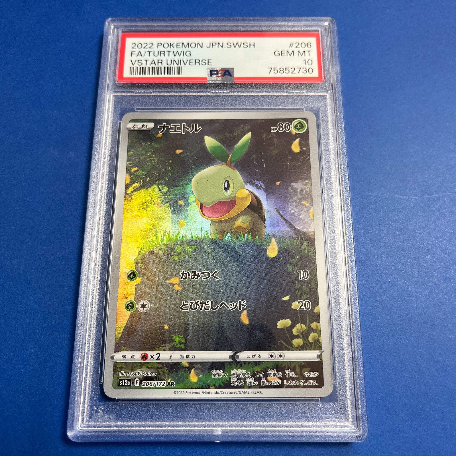 PSA10 ナエトルAR s12a-206/172 ワンオーナー品 ポケモンカード鑑定品