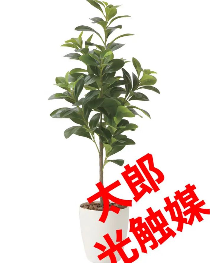 光触媒 人工観葉植物 フェイクグリーン フレッシュマネーツリー 90adm