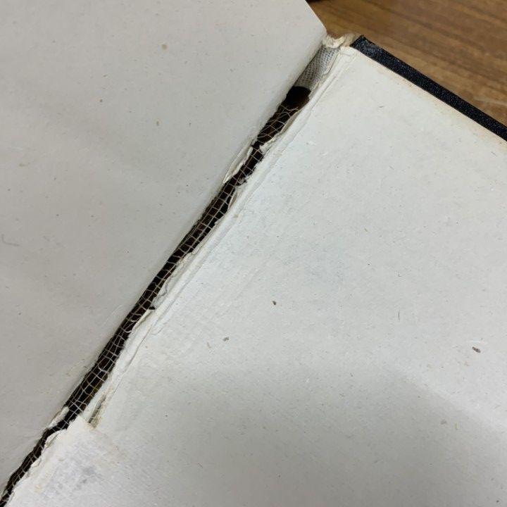 △01)【同梱不可】本草綱目 全4巻揃いセット/中国書店/中文書/A