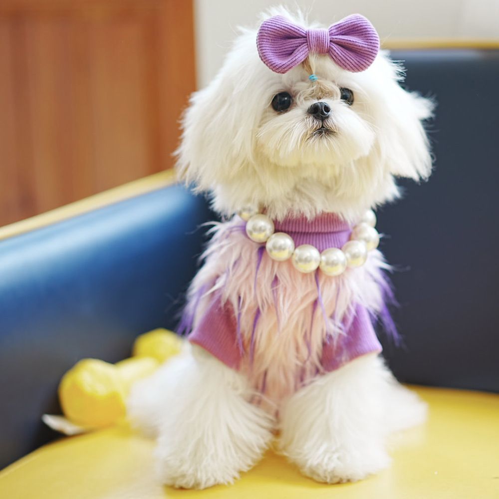 犬服