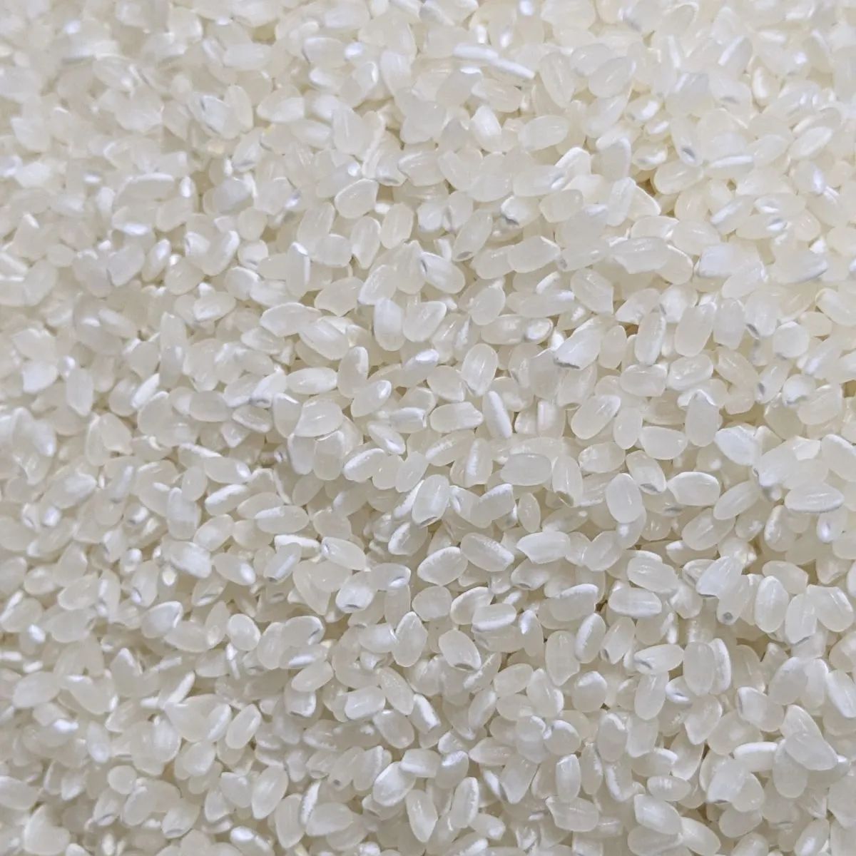 食味検査高評価 できる限り農薬削減
