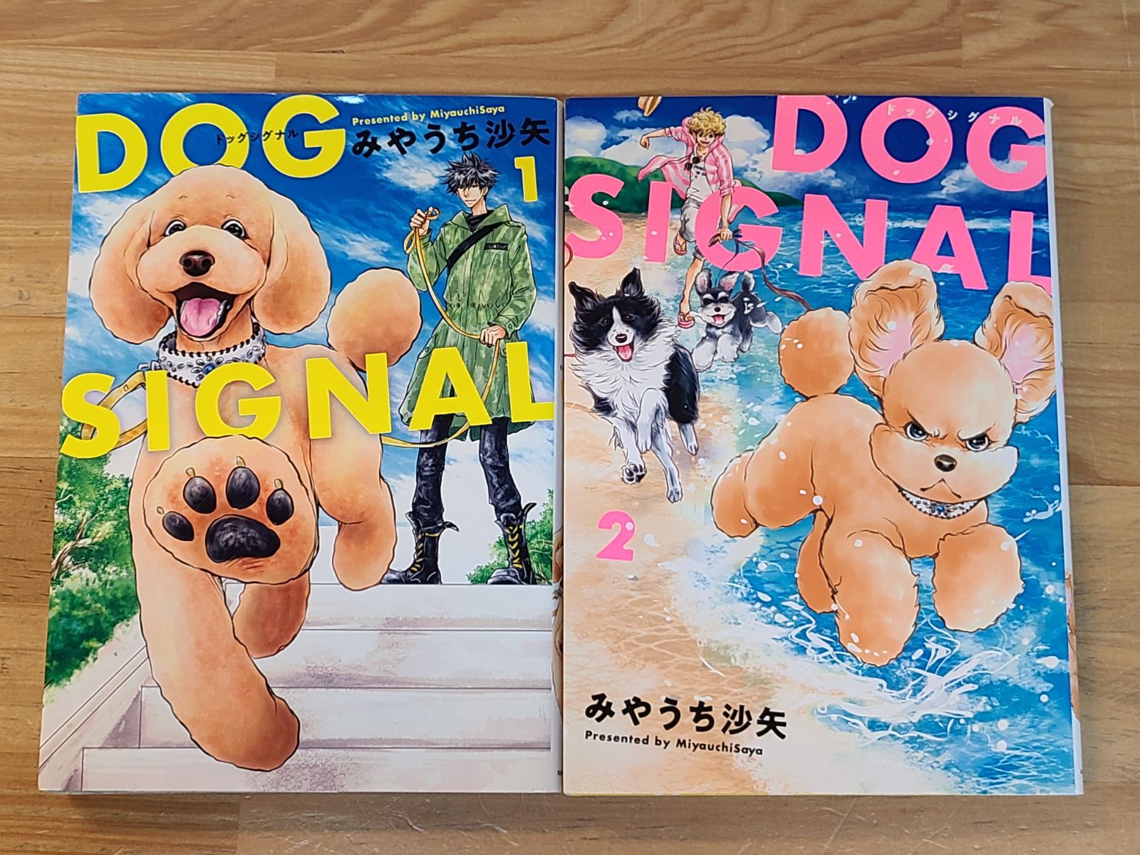 DOG SIGNAL 1巻～11巻 セット ドッグシグナル みやうち沙矢
