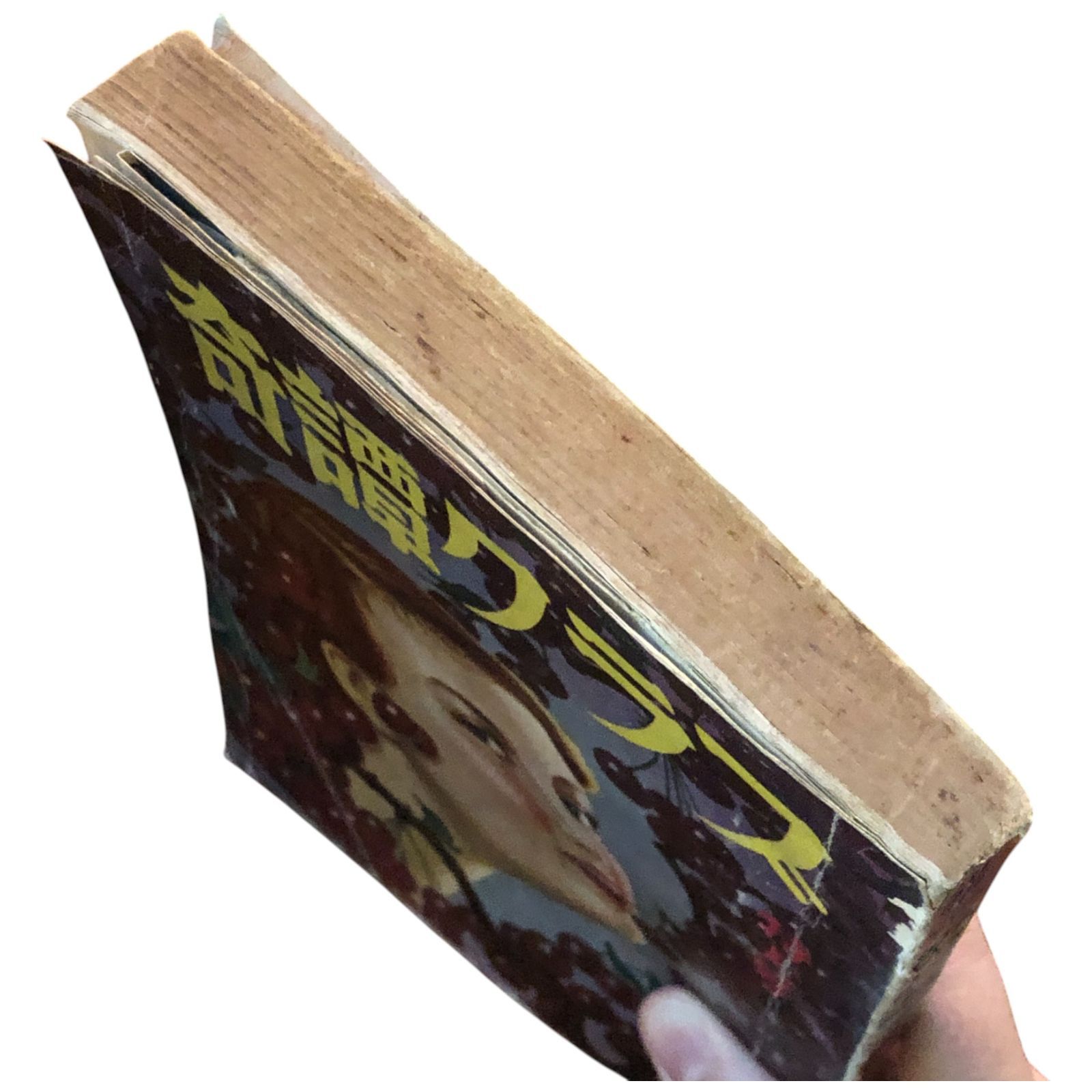 虹龍異聞　湊谷夢吉 作品集　伊藤重夫　函　1988年初版第一刷　北冬書房　未読美 2025年最新】湊谷夢吉作品集 ( )の人気アイテム - メルカリ