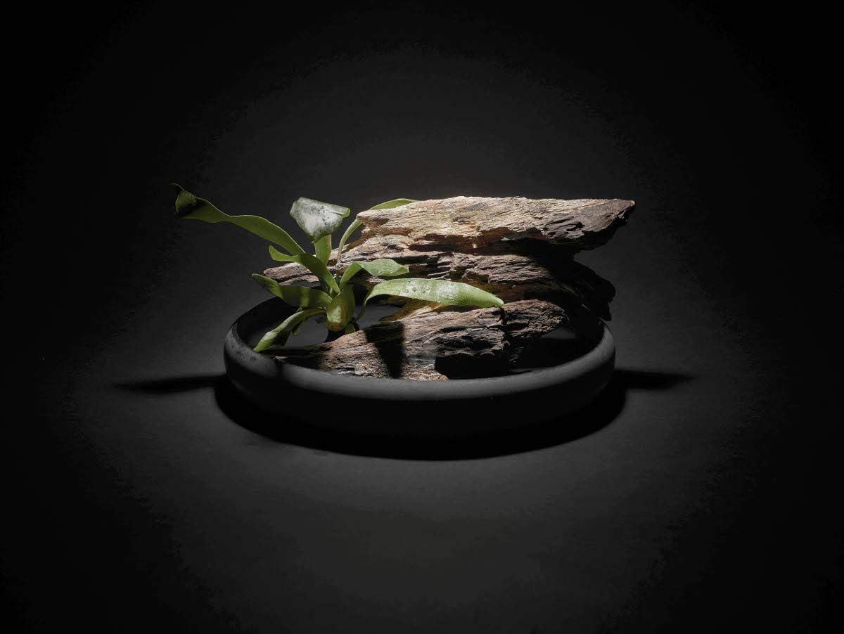 壺　HOLLAND  花瓶　花器　フラワーベース 壺 HOLLAND 花瓶 花器 フラワーベース