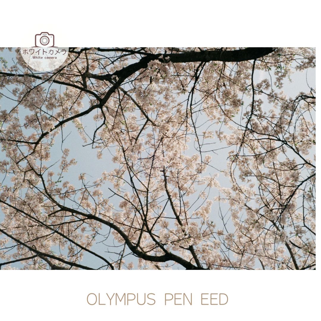 完動品 OLYMPUS