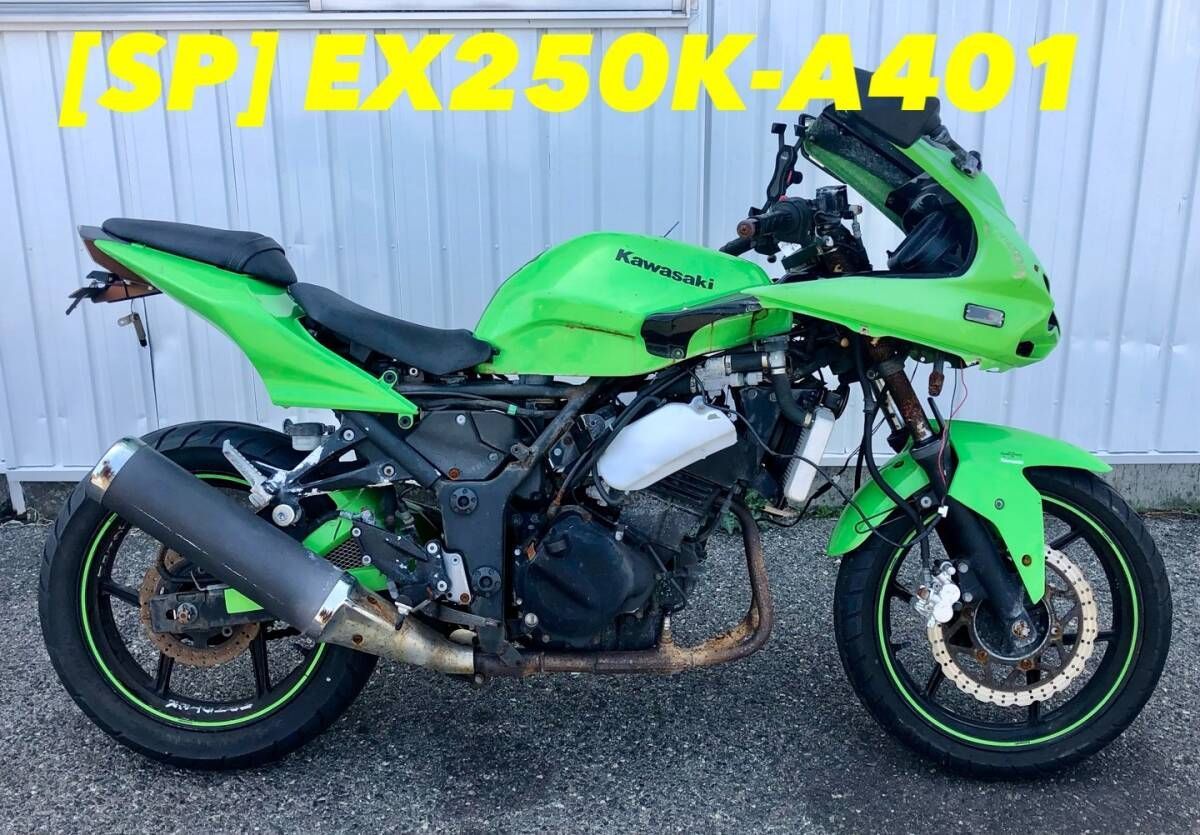 高品質，人気 【送料無料】[SP 53416]カワサキ ニンジャ250R EX250K