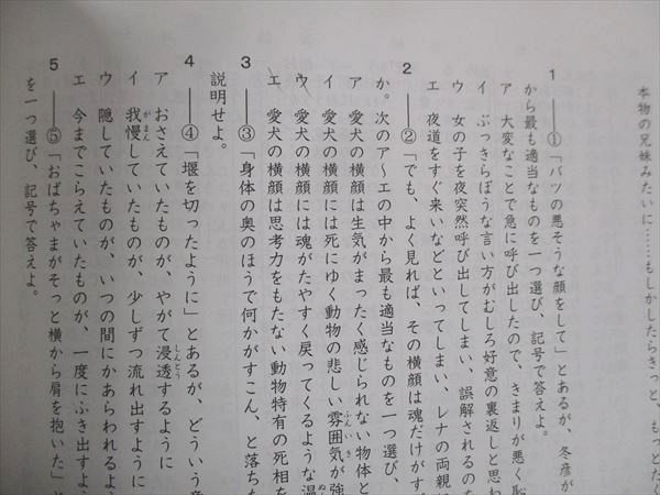 希学園 小6 国語 トレーニング/精読テキスト 通年セット 多量