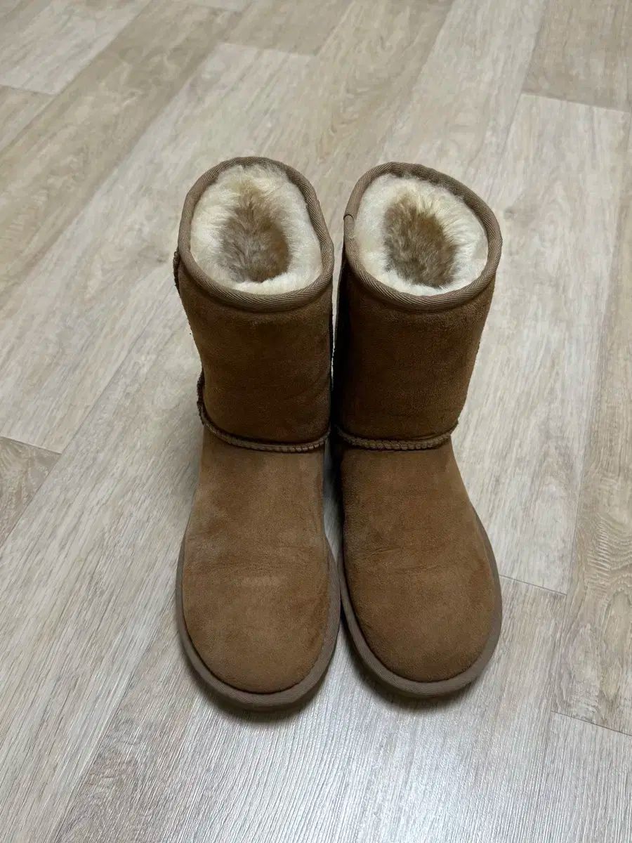 UGG アグ Classic ショート ムートンブーツ チェスナット 230