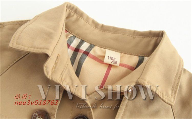 nee3v018763
