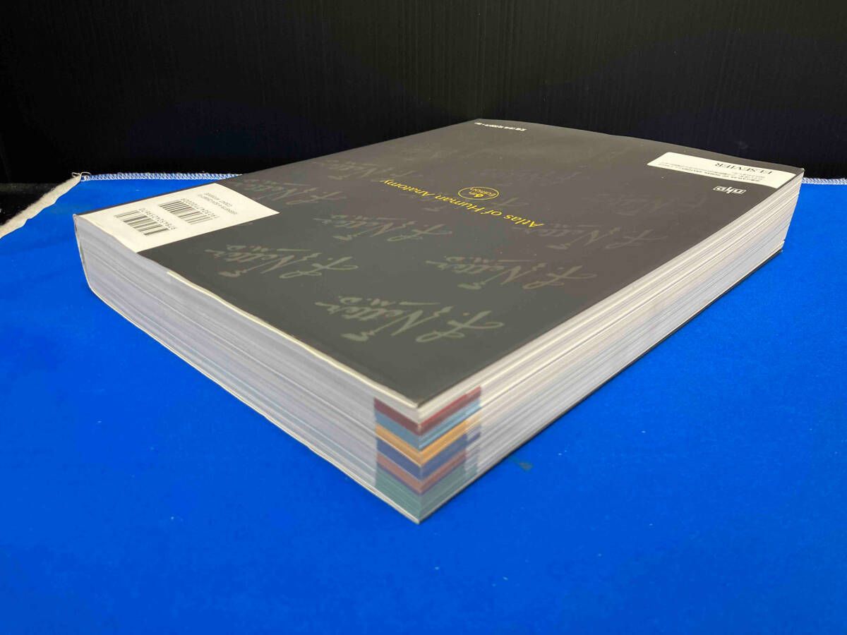 ネッター解剖学アトラス原書第6版 ネッター 原書第6版 解剖学アトラス