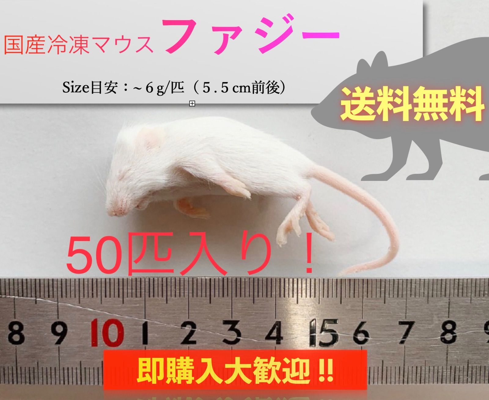 冷凍☆ＳＰＦマウス ホッパーＬマウス（１０匹） （約７．５ｃｍ・１７〜２０ｇ） 冷凍