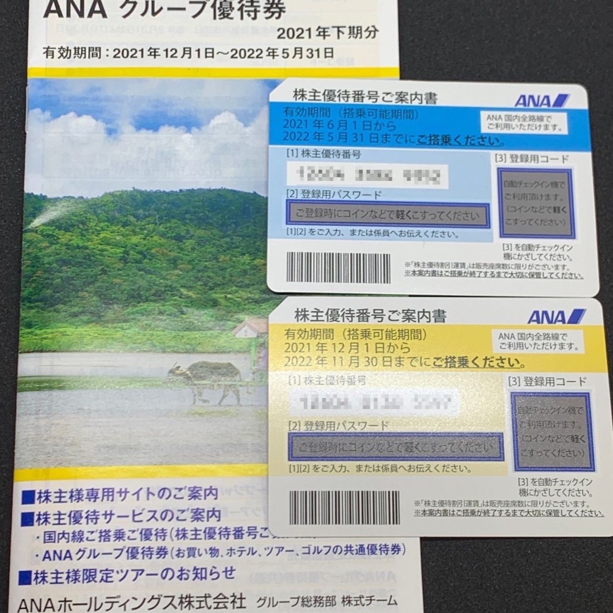 ANA 株主優待券 2枚・グループ優待券 1冊 - りんご家電ショップ - メルカリ