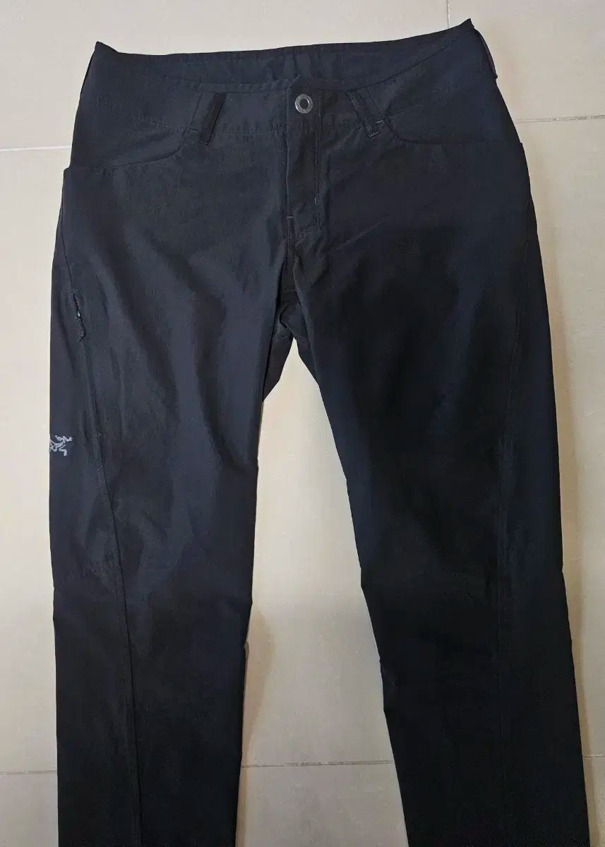 ARC TERYX アークテリクス クレストーン パンツ 2