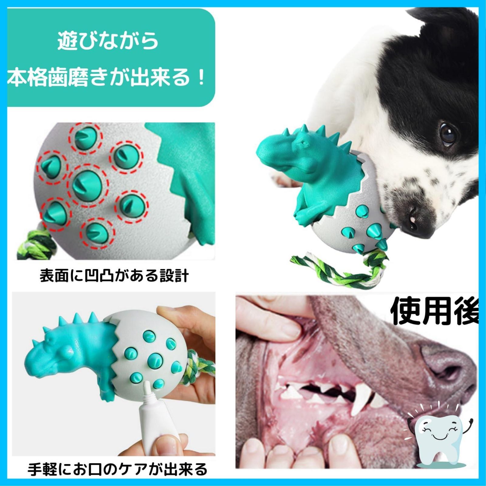 中型犬