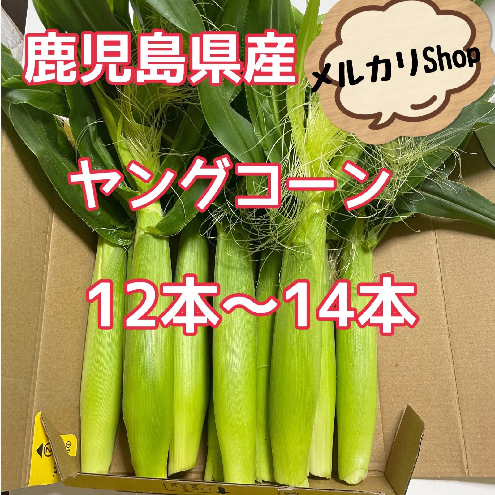 ☆鹿児島県産 新鮮朝採り＊ヤングコーン 12〜14本☆ - メルカリ