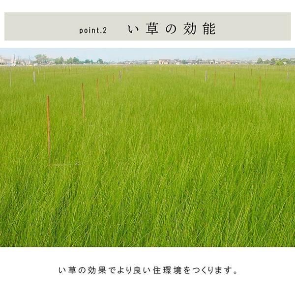 置き畳 ユニット畳 和室 4層 約70×70×3cm 単品 防炎 軽量 い草 日