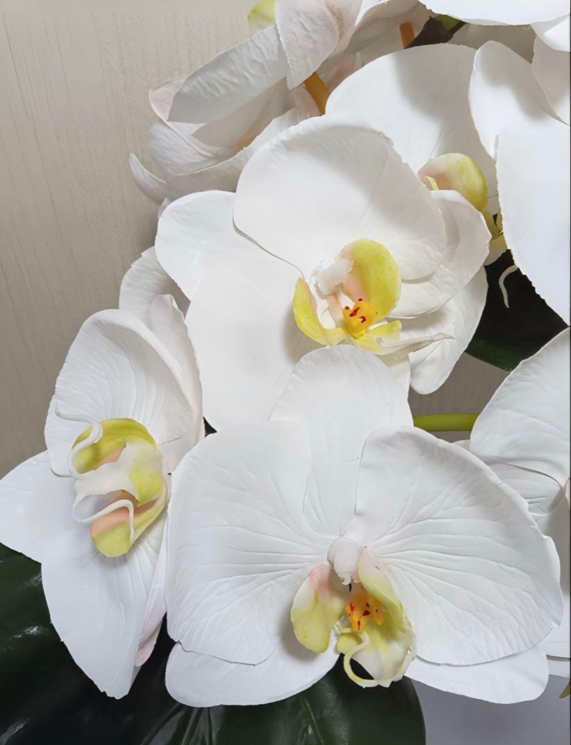 人工観葉植物 フェイクグリーン