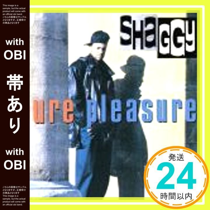 帯あり おぉキャロライナ!! CD シャギー_09