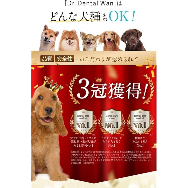 犬用品 ドクターデンタルワン 30g 2本セット 歯ブラシ付き