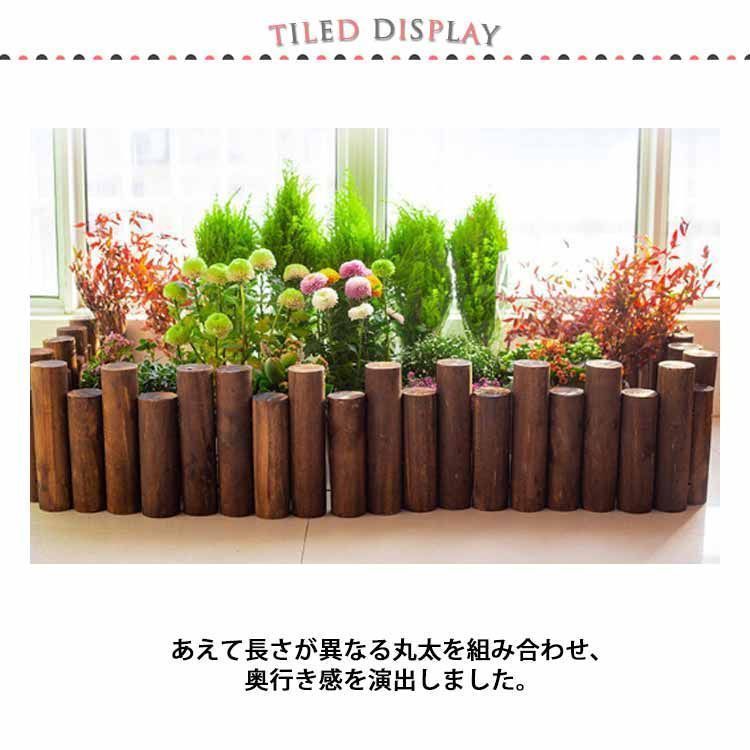 中川紀元 イチハツ 菖蒲墨彩画掛軸 二紀会創立 芸術院恩賜賞受賞