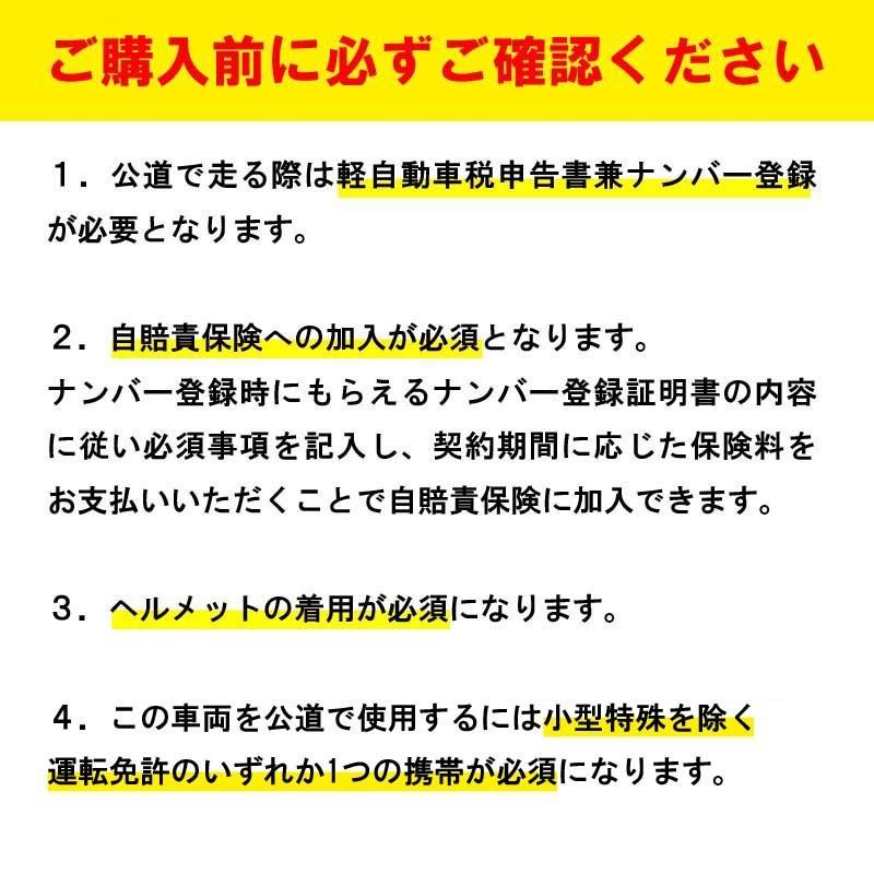 フル電動自転車 折りたたみ ３輪 電動バイク 14インチ 小径車 ミニベロ ブラック 便利 バッテリー２基 航続60km 原チャリ 原動機付自転車 BRIGHTFACE_UK
